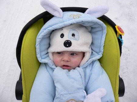 Okukuju všechno kolem